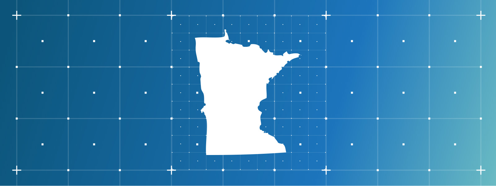 State Profile Minnesota — Independent Sector